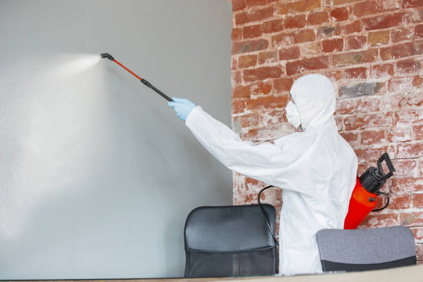 Best Air Quality Testing for Mold Spores  in Waldo, FL