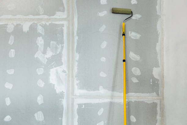Best Mold Odor Removal Services  in Waldo, FL