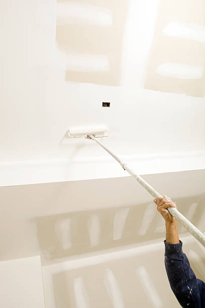 Best Attic Mold Removal  in Waldo, FL